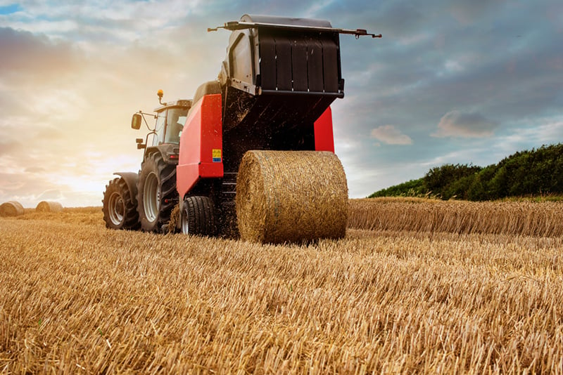 Round baler in a wheat field