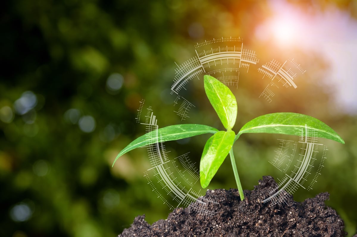 Seedling growing encircled by graphics signifying data