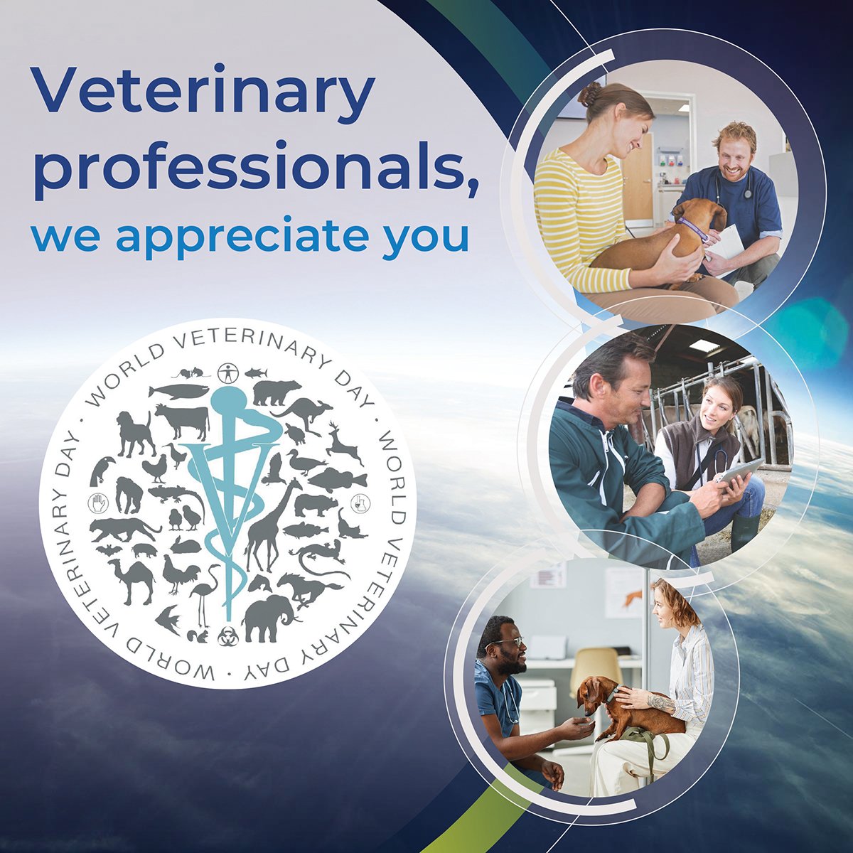 world vet 2025-1