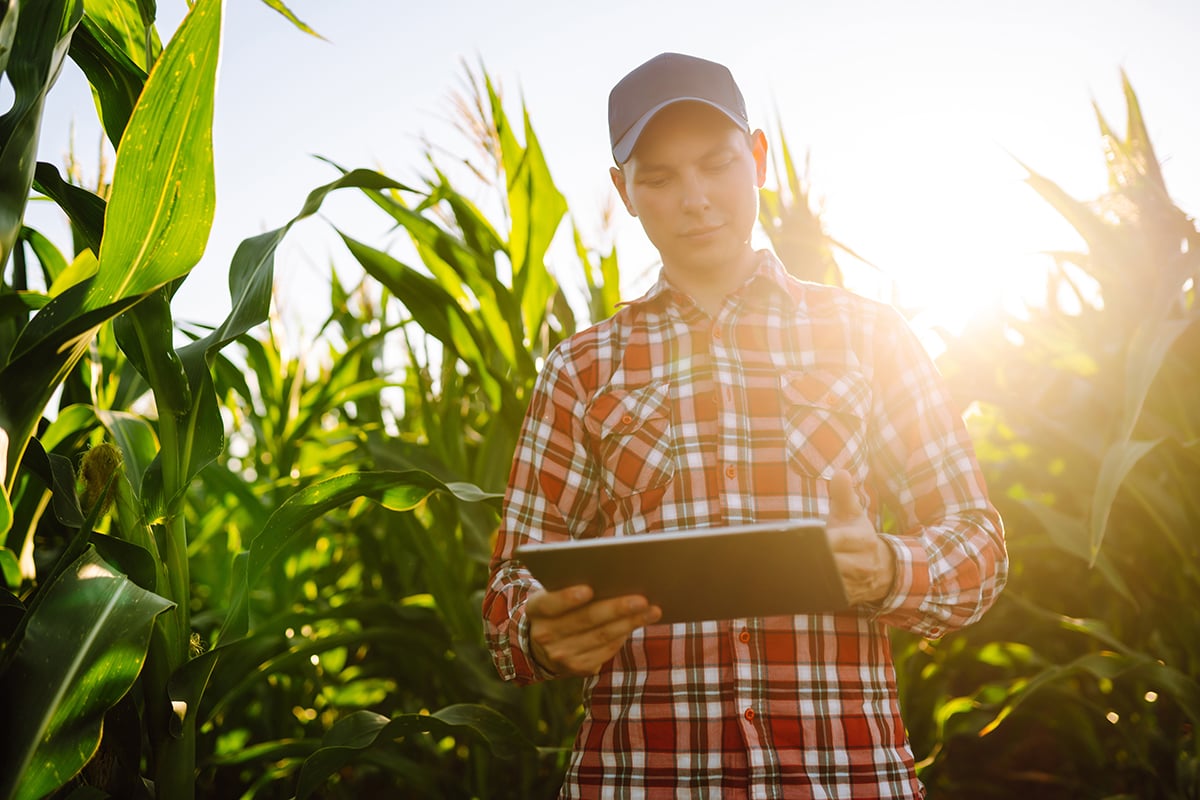 young-farmer-standing-in-cornfield